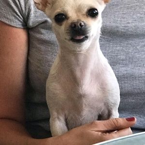 Meet your Posher, Paula